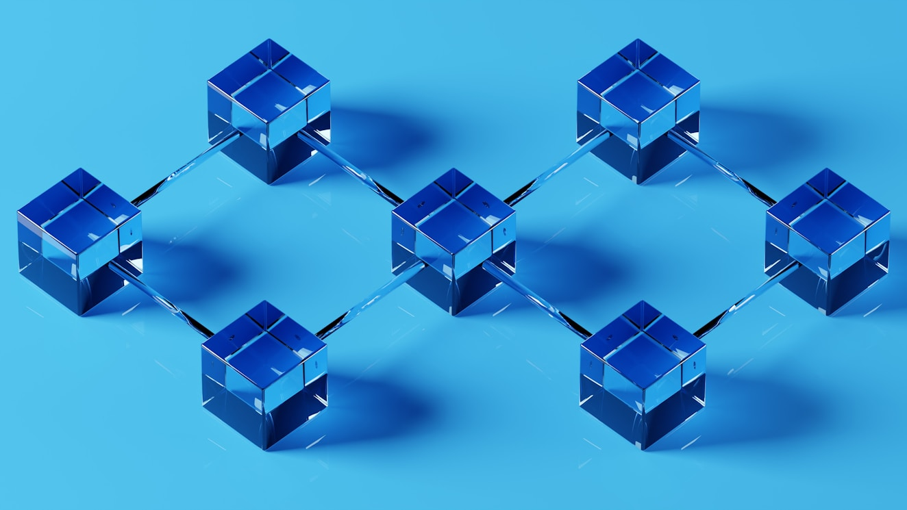 Every payment verified